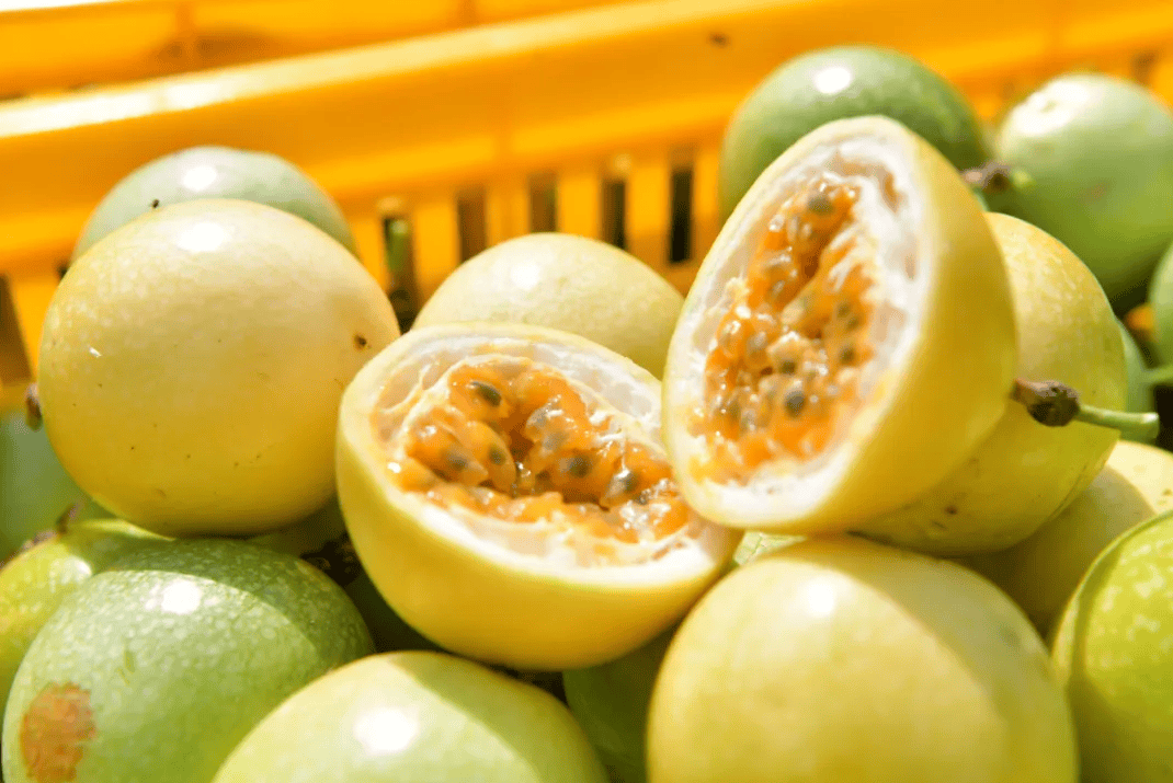 没有什么能阻挡！今天<strong></p>
<p>数字货币交易app</strong>，广西人就是要回家！