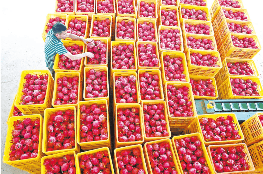 没有什么能阻挡！今天<strong></p>
<p>数字货币交易app</strong>，广西人就是要回家！