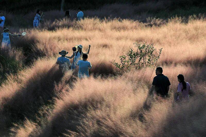 打卡拍照<strong></p>
<p>数字货币交易平台</strong>，再美也不能用生命对焦