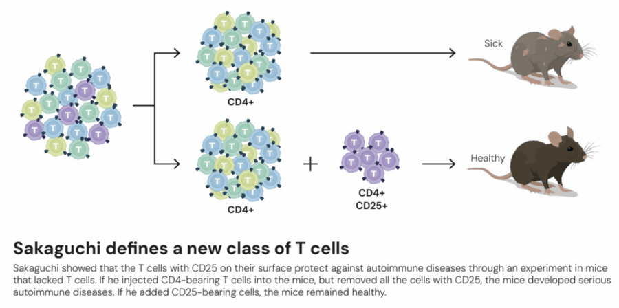 这个诺奖迟到了30年<strong></p>
<p>数字货币交易网站</strong>！三位科学家揭示免疫系统如何避免“自相残杀”