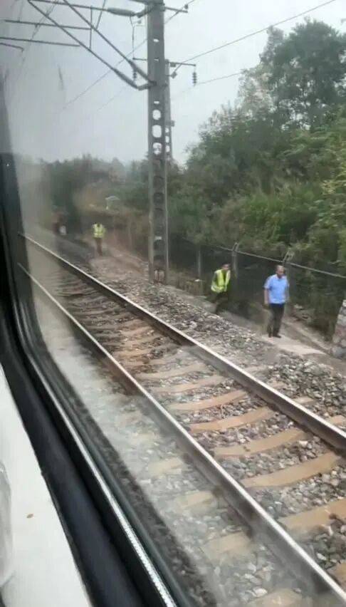 湖北一列车撞上野猪致停运<strong></p>
<p>数字货币交易所投资</strong>，铁路局：野猪已无害化处理，列车正常运行；附近曾发生多起野猪伤人事件