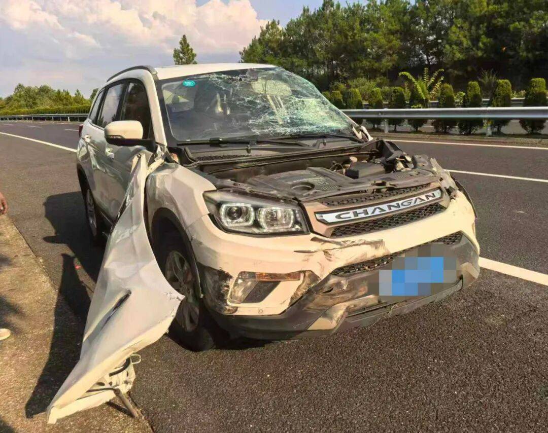 “我撒谎天打雷劈！”男子高速突然强行变道致翻车<strong></p>
<p>数字货币交易所投资</strong>，反诬赖对方