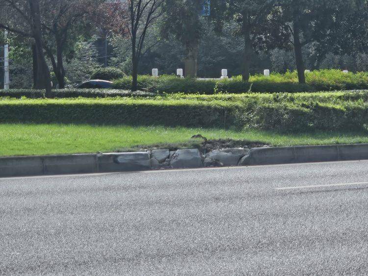 成都发生一起严重交通事故<strong></p>
<p>数字货币交易APP下载</strong>，上游新闻实地探访：燃烧留下的印记仍在