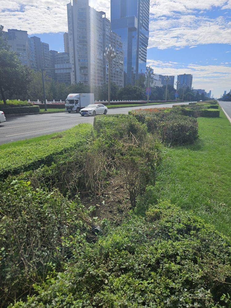 成都发生一起严重交通事故<strong></p>
<p>数字货币交易APP下载</strong>，上游新闻实地探访：燃烧留下的印记仍在