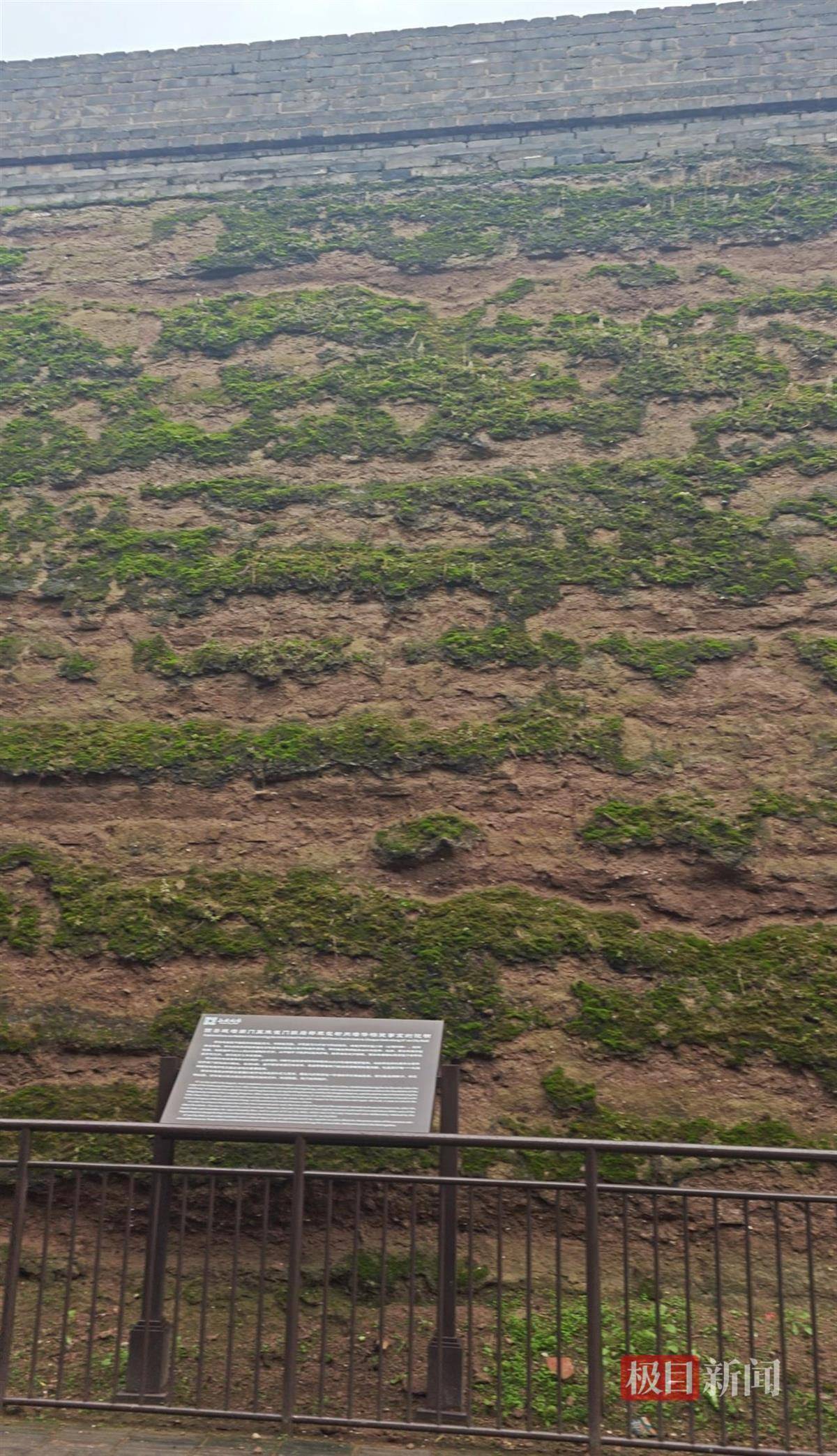 西安连续一个多月降雨遍地长蘑菇<strong></p>
<p>数字货币交易APP下载</strong>，大雁塔受潮，城墙布满青苔，气象局解释成因