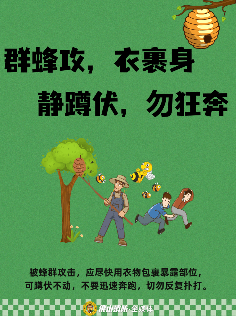 深圳一市民突遭马蜂围袭！已进入高发期<strong></p>
<p>数字货币交易APP下载</strong>，千万别招惹！
