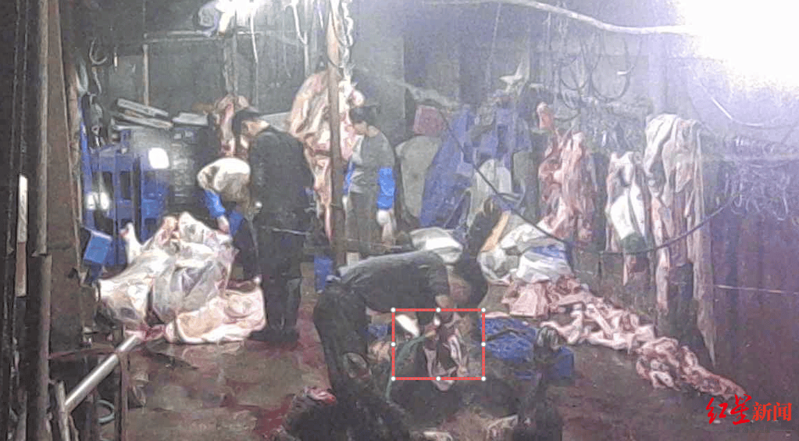 注水牛肉调查：屠宰场藏身农家院<strong></p>
<p>数字货币交易平台</strong>，深夜切开牛胸注水数分钟，牛肉连夜送批发市场