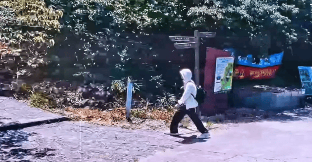 深圳登山失联约70天，27岁男子遗体疑被找到已遇难，其位于一块大石头下，家属回应