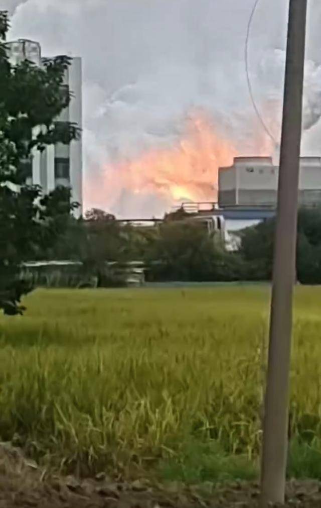 澄星股份工厂发生火灾？附近酒店：已灭火<strong></p>
<p>数字货币官网</strong>，有刺激性气味，建议不开窗