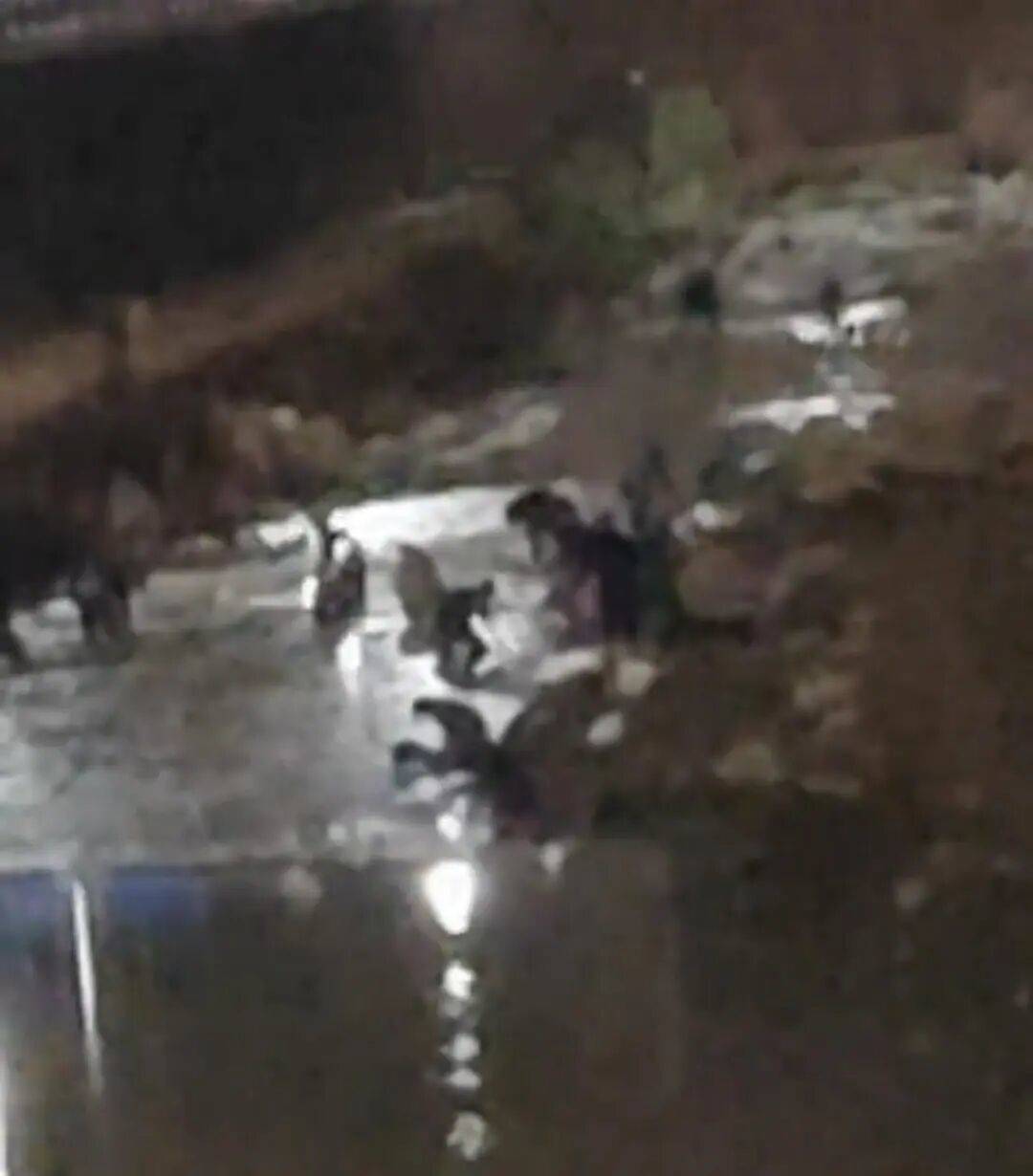 “一盆出5克多”<strong></p>
<p>以太坊</strong>，多人凌晨下河淘金！当地警方回应