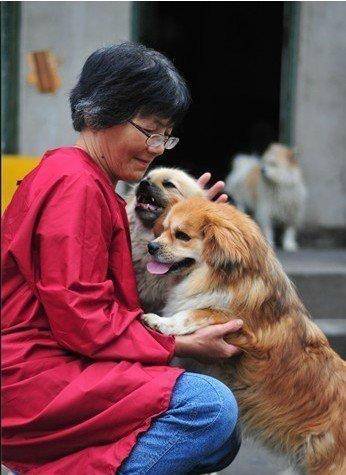 合肥卖房救助流浪狗的魏阿姨离世<strong></p>
<p>泰达币</strong>，病中仍然惦记着基地的600只流浪狗，工人：不敢相信世上还有这样执着的人