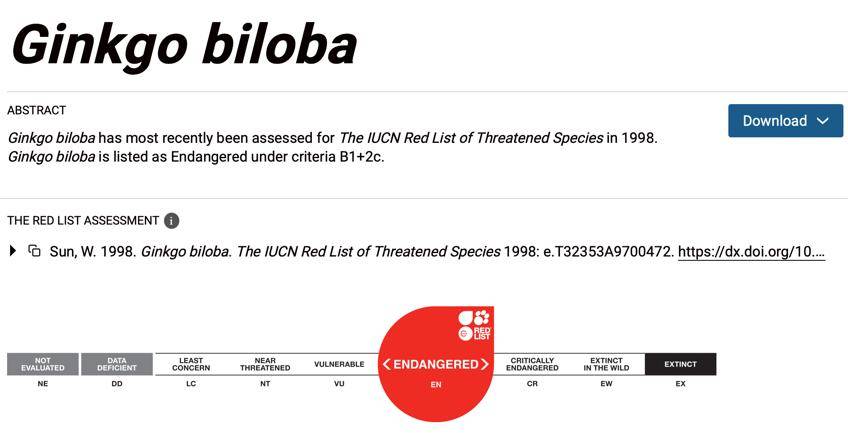 满大街都是银杏树<strong></p>
<p>中信证券</strong>，为什么还是濒危物种？