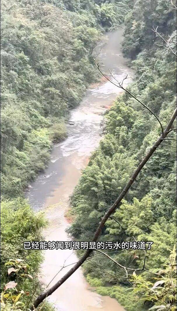 重庆通报：坚决查处<strong></p>
<p>万诚证券有限公司</strong>，绝不姑息