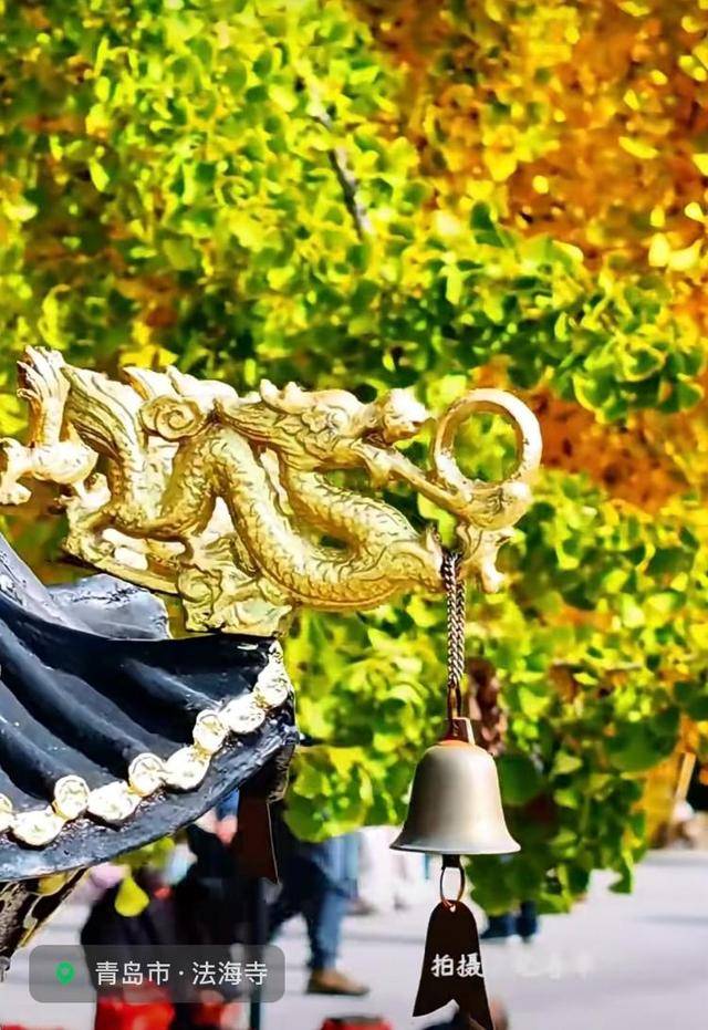 错过等一年！青岛1600岁“银杏王”满树金黄<strong></p>
<p>天门有几家证券公司</strong>，打卡的人“鼓”了