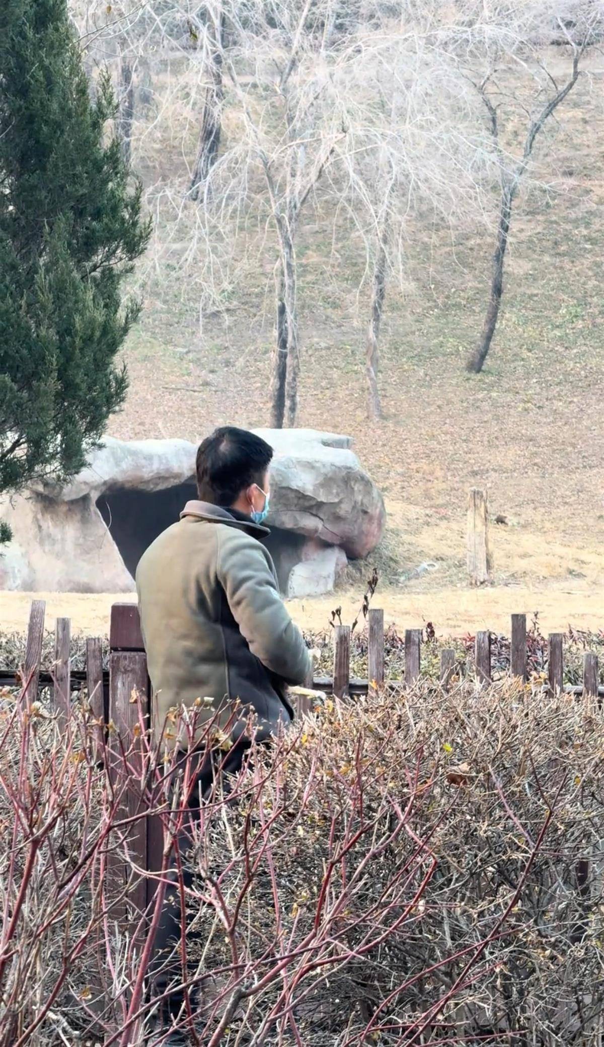 沈阳一男子动物园内用弹弓射老虎<strong></p>
<p>盈透证券资金如何转出</strong>，目击者称其“填装了弹丸”，打完后老虎爬起来了，园方：正在核实情况