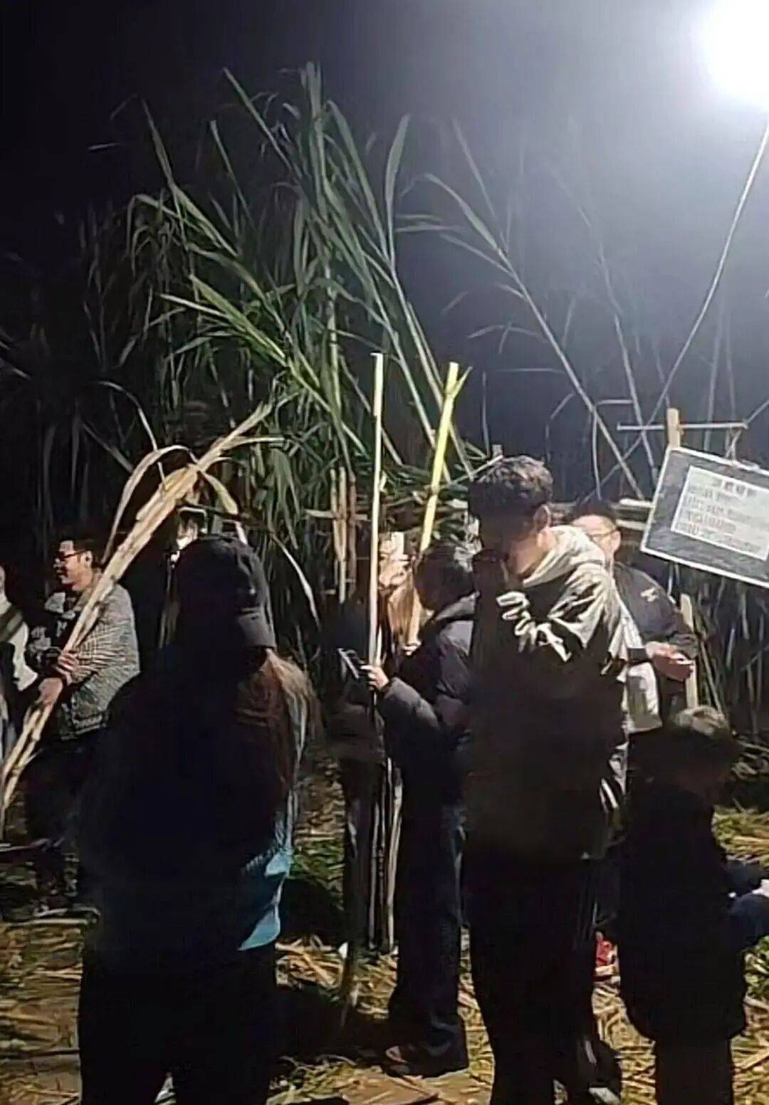 四川眉山“偷甘蔗农场”爆火！增设2.99元入场费后<strong></p>
<p>盈透证券资金如何转出</strong>，地里仍来了上千游客，“偷甘蔗”被逮到的人要表演才艺，老板：日销售有时近万元