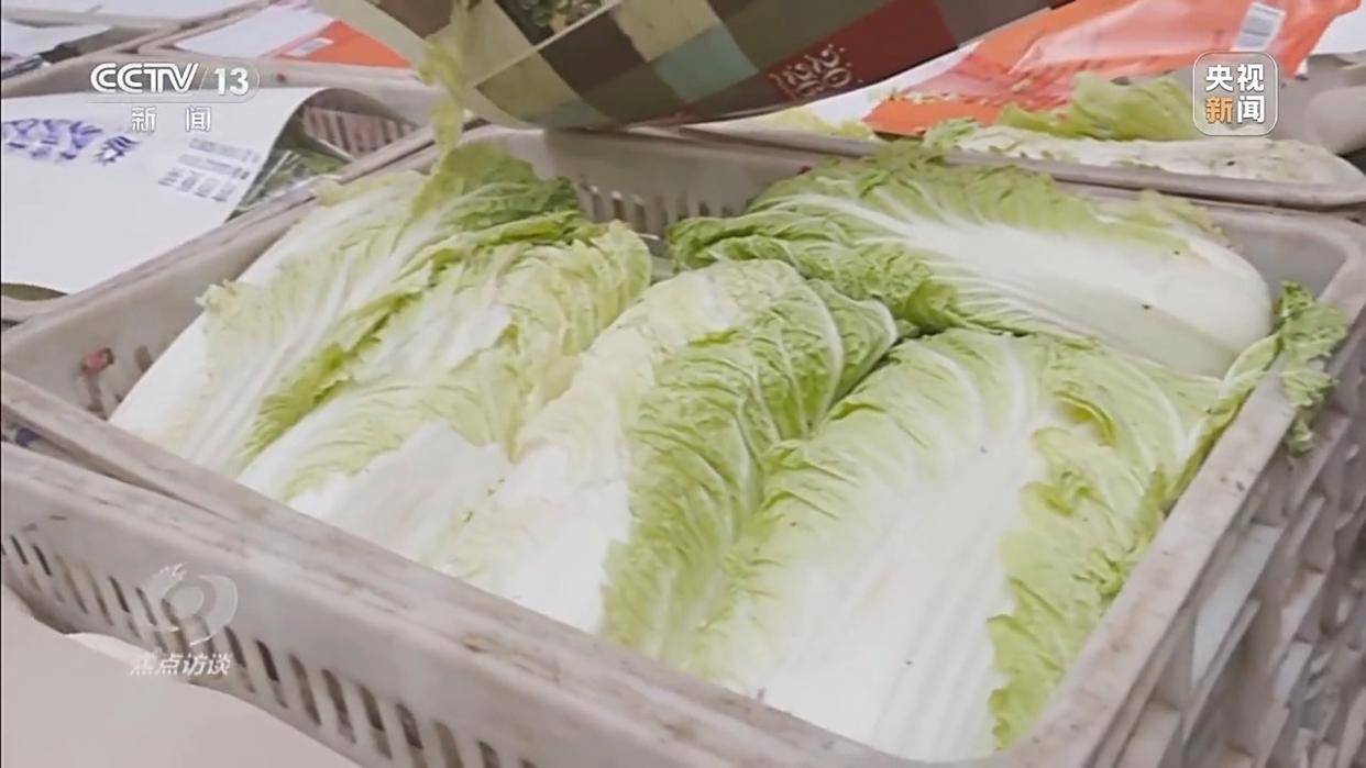 单棵售价超百元<strong></p>
<p>张家港中信证券招聘</strong>，起底“套牌白菜”背后的销售套路