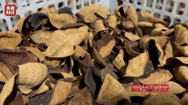 30天速成陈皮<strong></p>
<p>南京河西华泰证券广场</strong>，成本仅70元，利润超成本10倍以上！央视起底陈皮跨省造假产业链