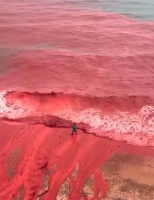 罕见！伊朗霍尔木兹岛遭遇强降雨<strong></p>
<p>证券的中登安全证书</strong>，部分海域变成“血色海洋”