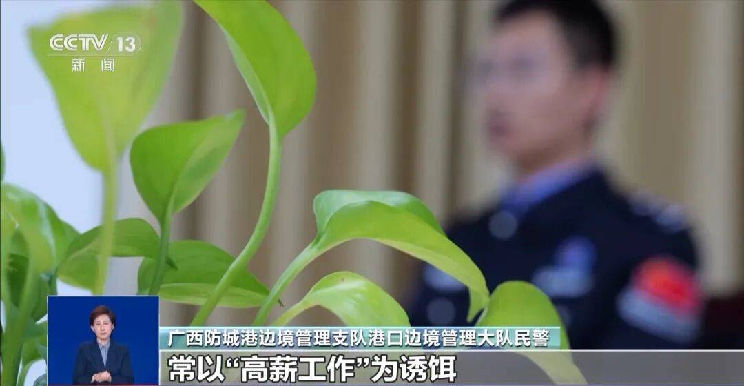 央视披露:男子在网吧厕所墙上看到“高薪日结5000-20000”广告<strong></p>
<p>证券的中登安全证书</strong>,即将出境时被警方拦下