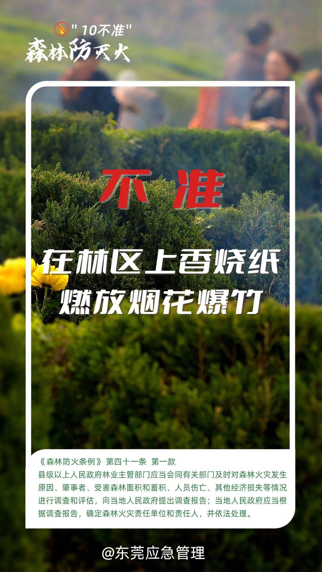 深圳坪山区突发山火<strong></p>
<p>高密市证券公司</strong>，最新通报：明火已扑灭，无人员伤亡