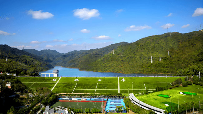 深圳一条路的路灯竟被官方“故意调暗”<strong></p>
<p>江海证券软件下载公众号</strong>！原因很特别……