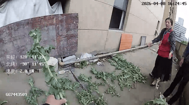 杭州一小区发现35株罂粟！保安巡逻起疑后报警<strong></p>
<p>海南省证券从业考试</strong>，警方：2位老人在菜盆、花盆混种，隐蔽性极强，分别罚款300元、400元